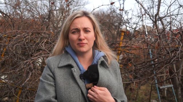 Щенки Ростова смотреть онлайн