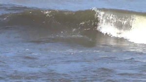 Ладога. Ладожское озеро. Волны. Виндсерфингист. 19.07.18