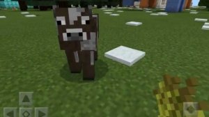 Как приручить корову в Майнкрафте / Minecraft PE?