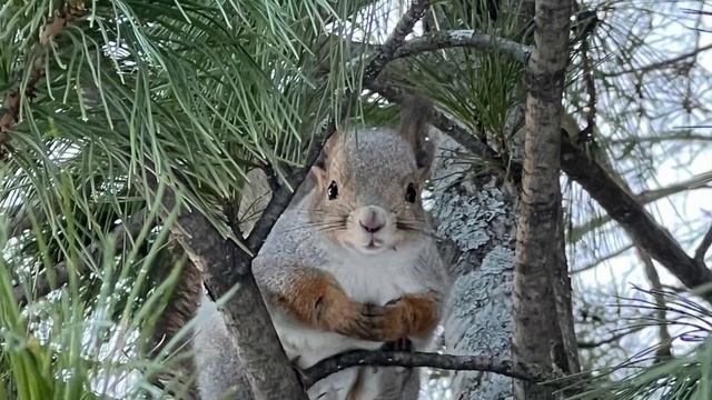 Югорская осень смотреть онлайн