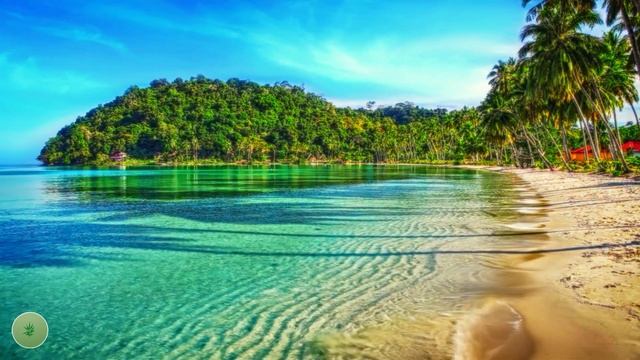 Расслабляющая музыка для сна за 5 минут – Музыка для расслабления и сна всю ночь смотреть онлайн