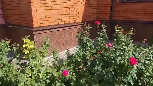 Келеберда. Тарас Бульба. Форпост Запорожской сечи. смотреть онлайн