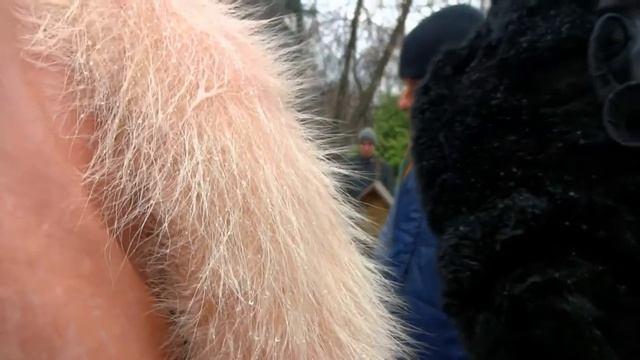 Экскурсия по Ваганьковскому кладбищу 2017год. Часть 3.