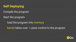 dotGo 2016 - Kelsey Hightower - Self Deploying Go Applications