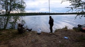 2022.06.11-12 За окунями на Верхнетуломское водохранилище. Одним кадром дюжину окуней.