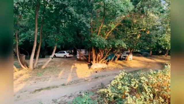 Летний пляж у Волги смотреть онлайн