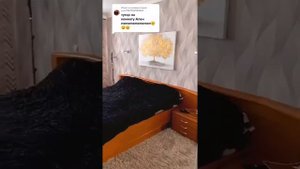 рум тур от Аллен Дуэль