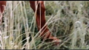 Красный конь | Арсений Уразбаев