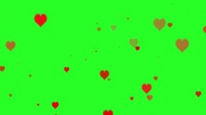 ?Фон сердечки? Хромакей на зеленом фоне! День влюбленных!!!День Святого Валентина!!! Футаж!
