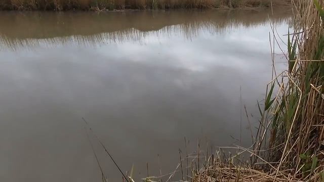 159 ч. ПЕРЕЕХАЛИ НА ЮГ. Какая Благодать в Лебедях после ливня. смотреть онлайн