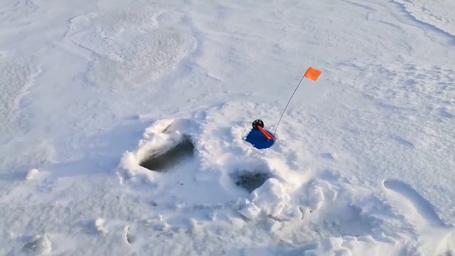 Трудовая рыбалочка. Окунь на жерлицу. Судак полторашка. смотреть онлайн