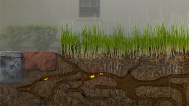 How to Use Combat Ant Killing Baits смотреть онлайн