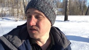 Зверь сожрал улья на лесной пасеке