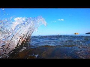 ПОДВОДНЫЙ МИР В КРЫМУ ЯЛТА / Жизнь в Ялте