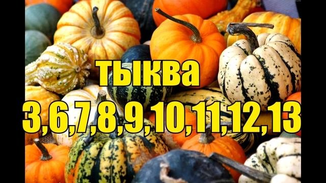 Лунный посевной календарь огородника март 2022. Благоприятные дни для посева.