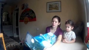 Обзор книги про фей и эльфов