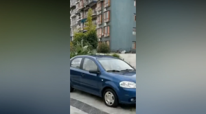 Экспресс мойка-чистка ?