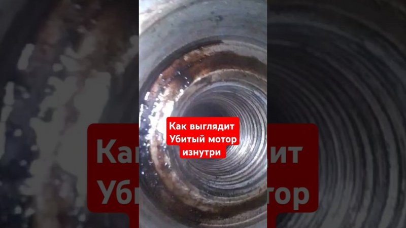 Будни Краснодарского автоподбора
