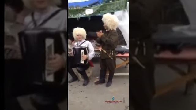 Рагим Каримов-на фестивале 2016 смотреть онлайн