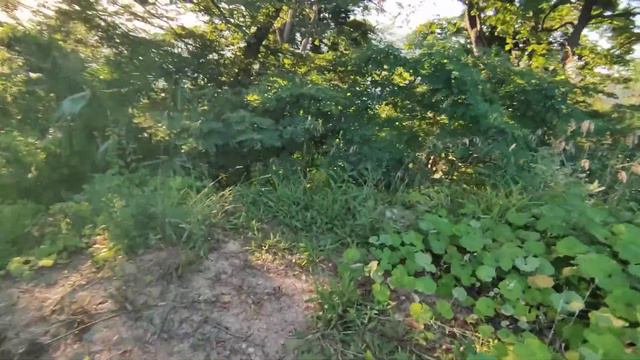 Земельный участок в Сочи. Хоста, 15 соток смотреть онлайн