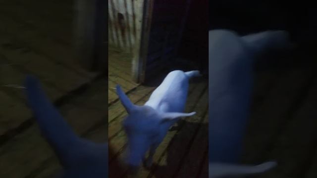 19 октября 2021 г. смотреть онлайн