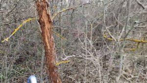 Рыбалка с подсаком на лужах после разлива реки, выхватил много рыбы !