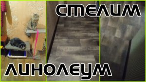 Стелим ленолиум и сверлим плинтуса | ремонт | prchll