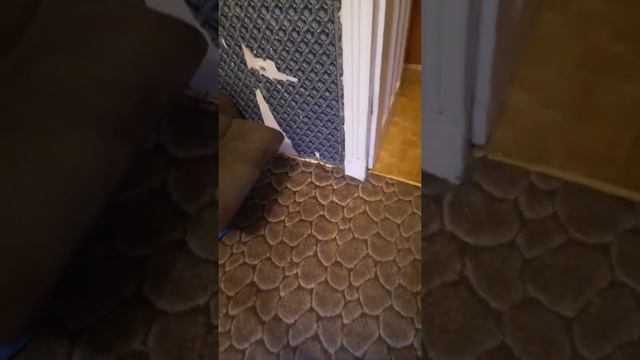 Гироскутер смотреть онлайн