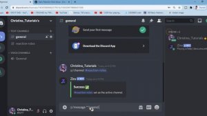 How to setup Reaction Roles with the Zira bot | Discord Tutorial 2020