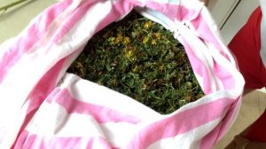 Иван-чай без ферментации, что получится?