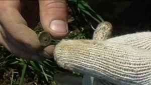 Коп во Владимирской области .