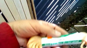 Скрепление кроны и "ремонт" аварийных туй с помощью стяжек и подвязки ветвей