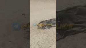 Трупы на пляже Мариуполя никто не убирает, июнь 2022