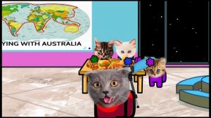 Cats and food. Pushcats Cat cartoon animation