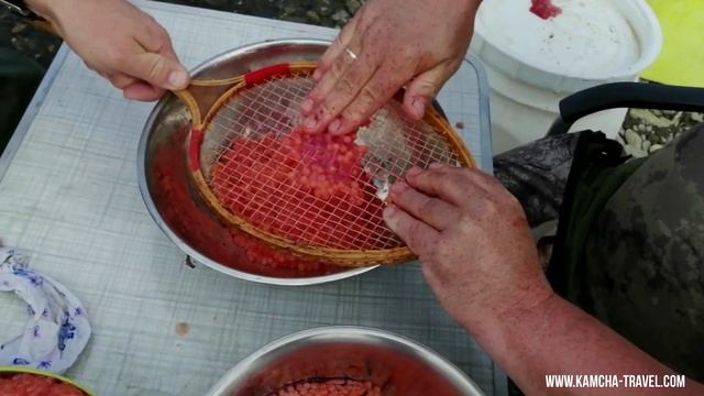 Супер рыбалка на Камчатке. Море кижуча. Кижуч. Сoho salmon. Fishing. Kamchatka. смотреть онлайн