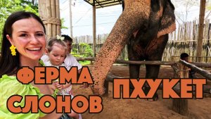 Слоновья ферма на Пхукете. Закаты на пляже Карон в несезон.