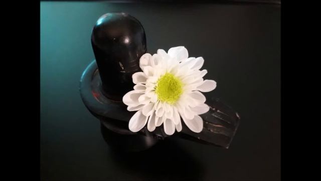 10 Самых Сильных Мантр Шиве II Top 10 Shiv Powerful Mantra