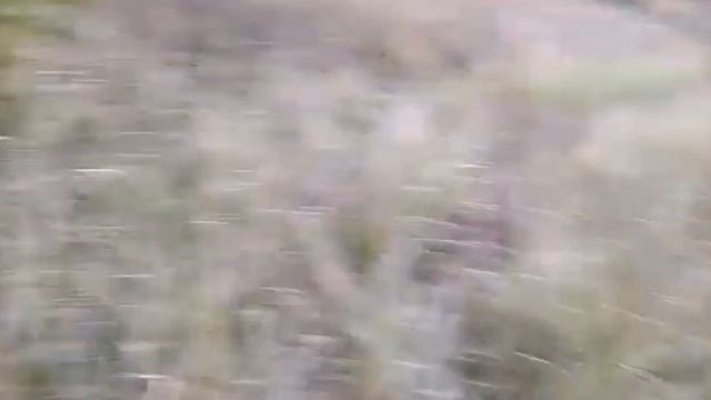 #ЕЙСК, #ДАЧИ ?какая классная раковина! Нашли клематис. Гуляем. смотреть онлайн