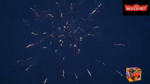 Батарея салютов Сальса (Фейерверк 49 залпов) арт.  FP-B322