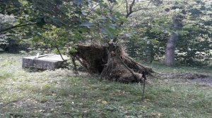 Как найти воду на участке? 100% Проверенный способ