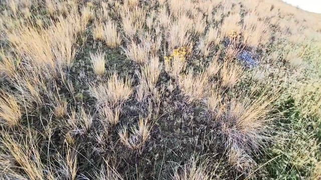 В 11 лет мальчик взял свой первый трофей оленя. Охота в США смотреть онлайн