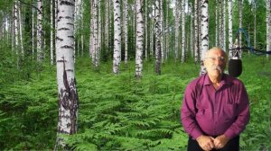 Лютеранский гимн 209 (финск. яз.)