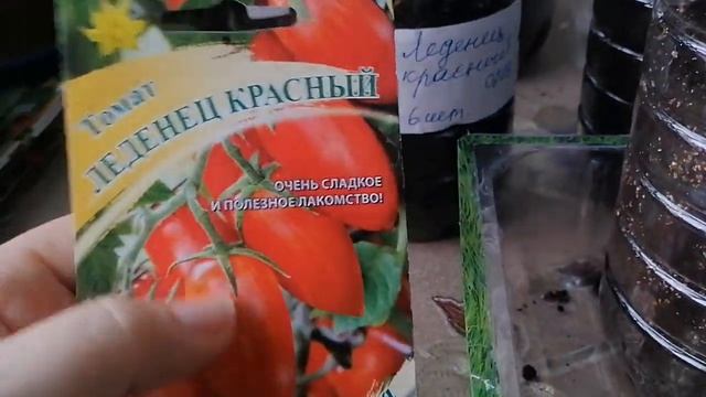 Коллекция томатов леденцы  Обзор перед посевом