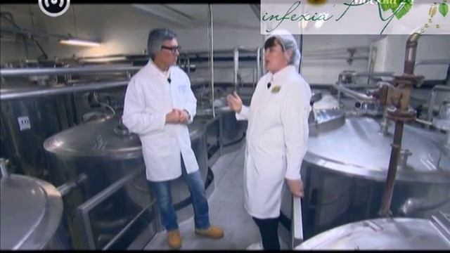 Как выбрать полезный кефир на полке магазина