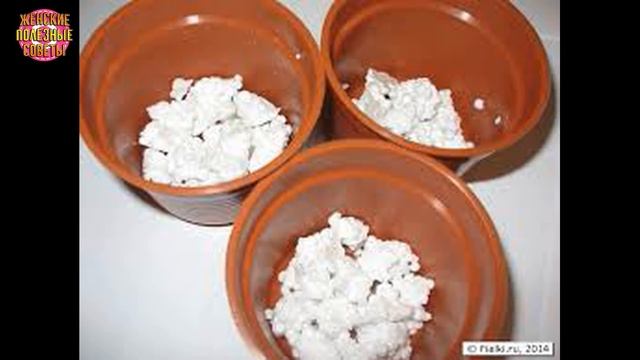 РАСТЕНИЯ РАСТУТ КАК НА ДРОЖЖАХ! ПРОСТО ПОЛОЖИТЕ НА ДНО ГОРШКА... смотреть онлайн