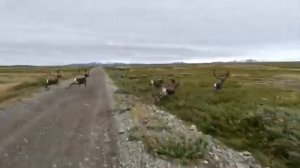 Путешествие по Чукотке. Анадырь - Билибино