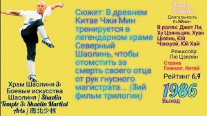 Шаолинь кино / Клуб путешественников Шаолинь / Про Шаолинь