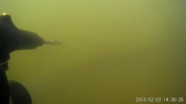 подводная охота КАРЯГИ. смотреть онлайн