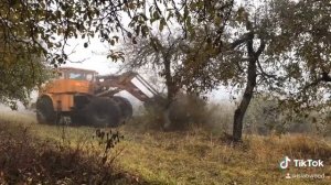 Корчевание деревьев экскаватором погрузчиком