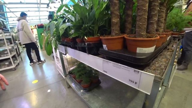 Sony as300.TomYumBar.IKEA/стетильник смотреть онлайн